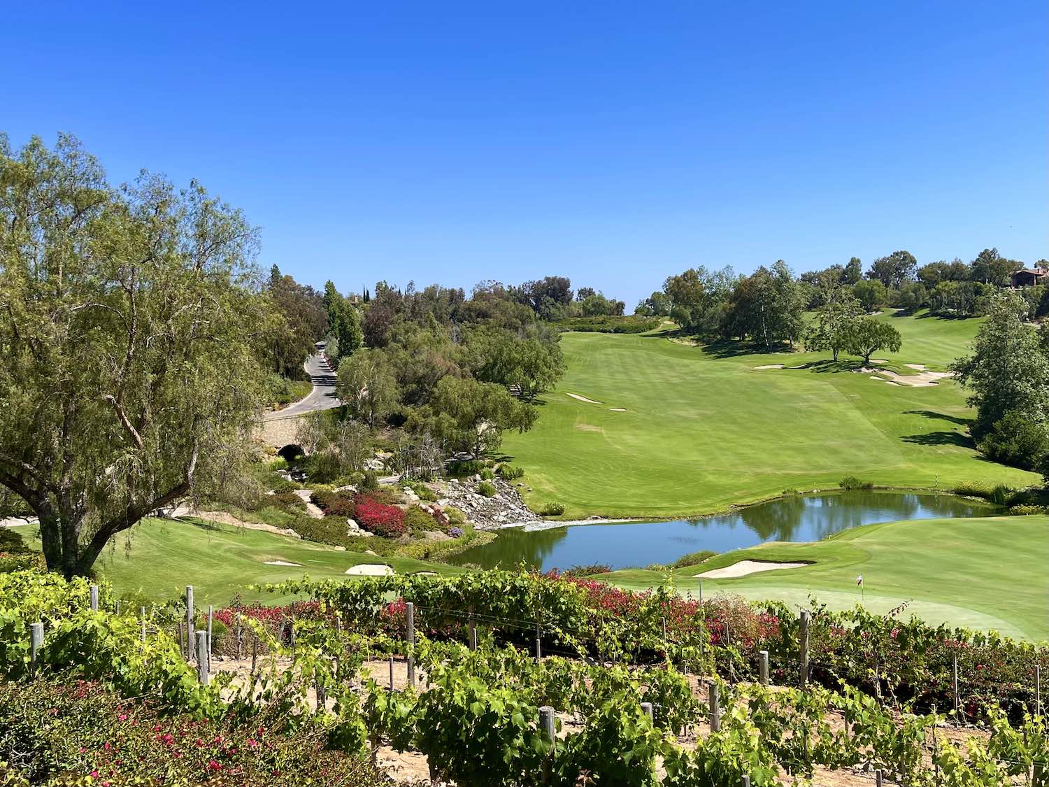The Bridges Community at Rancho Santa Fe