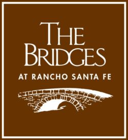 bridges-logo-brown-square